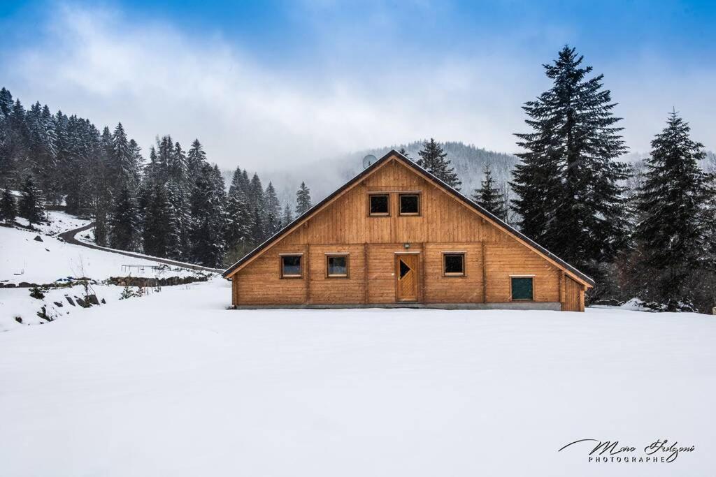 Chalet Charligustine - Gérardmer - 8p  Extérieur photo